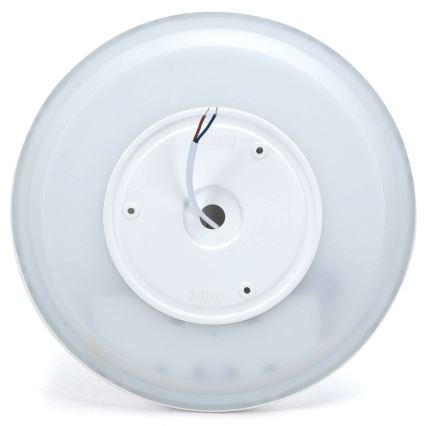 Aigostar - LED RGBW Dimmable ceiling light MESH LED/24W/230V 3000-6500K white + remote control