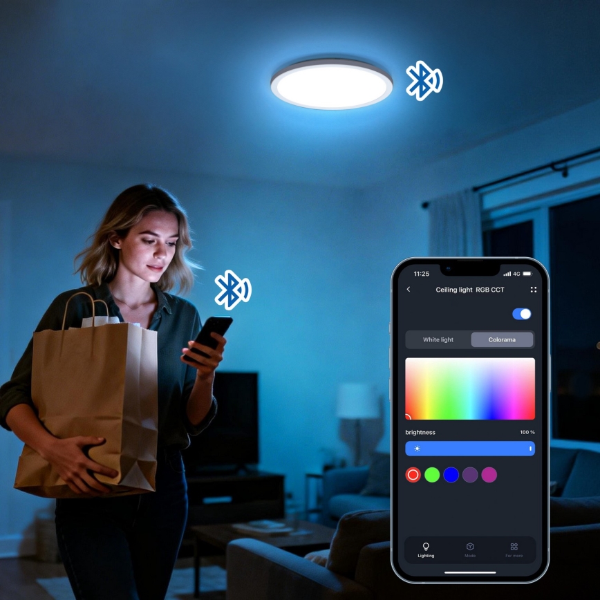 Aigostar - LED RGBW Dimmable Ceiling Light MESH LED/24W/230V 3000-6500K Black + Remote Control