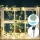 Aigostar - LED Solar chain 100xLED/12m IP65 300 mAh warm white eucalyptus