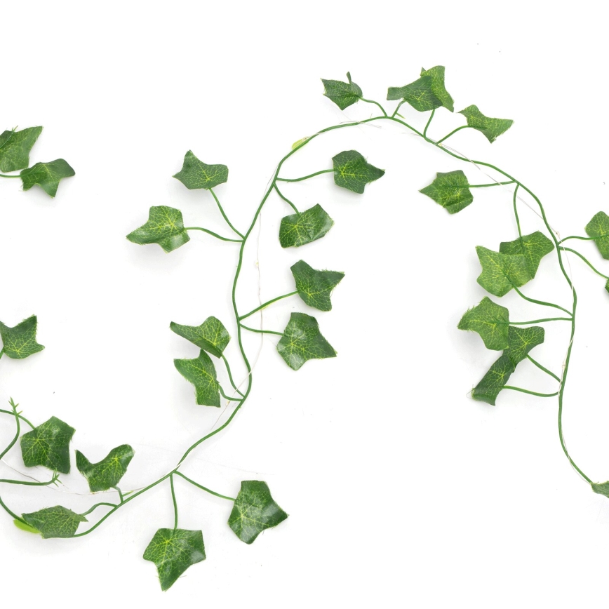 Aigostar - LED Solar chain 50xLED/7m IP65 warm white ivy