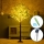 Aigostar - LED Solar decoration 285xLED/3,8m IP65 warm white olive