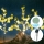 Aigostar - LED Solar decoration 60xLED/3,5m IP65 warm white eucalyptus