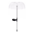 Aigostar - LED Solar decorative lamp LED/0,03W/1,2V 70cm 300 mAh 6500K IP44