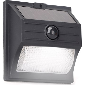 Aigostar - LED Solar Light with Sensor LED/3.7V 6500K 500 mAh IP65 Black