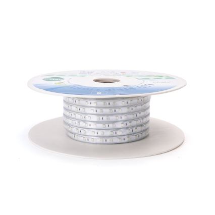 Aigostar - LED Strip LED/350W/230V 50m green IP65