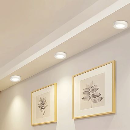 Aigostar - LED Surface-mounted ceiling light LED/18W/230V d. 22,6 cm 4000K white