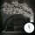 Aigostar - LED Wall decoration 144xLED/5W/5V cool white