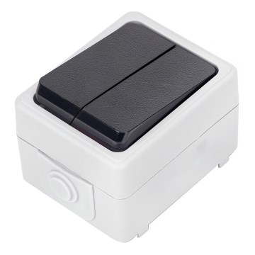 Aigostar - Residential Series Wall Switch 250V/10A IP54