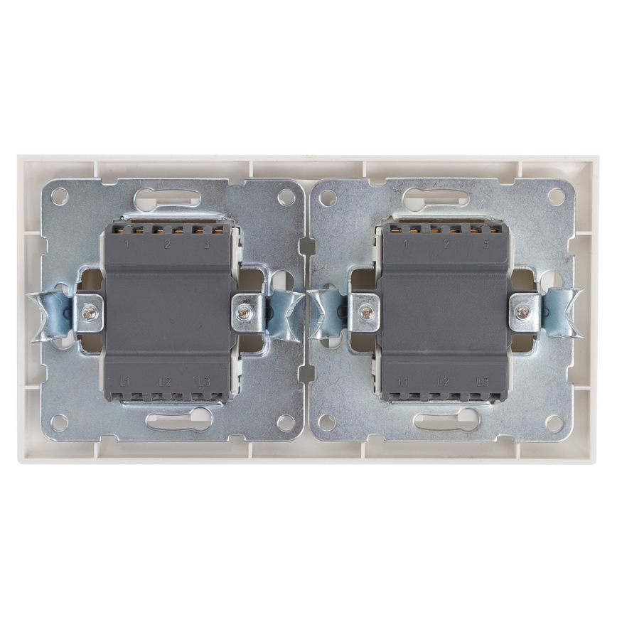 Aigostar - SET 2x Home switch 2-button 250V/10A