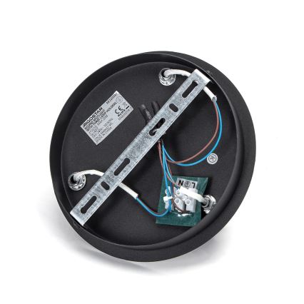 Aigostar - Spotlight 3xGU10/60W/230V black