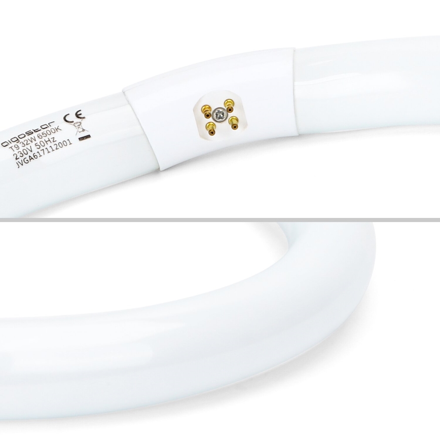 Aigostar T9 G10q Fluorescent Tube 32W 230V 6500K