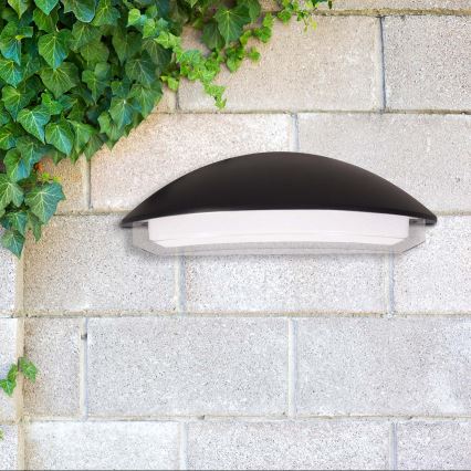 ALABAMA LED Outdoor Wall Light 12W/230V IP54 Black