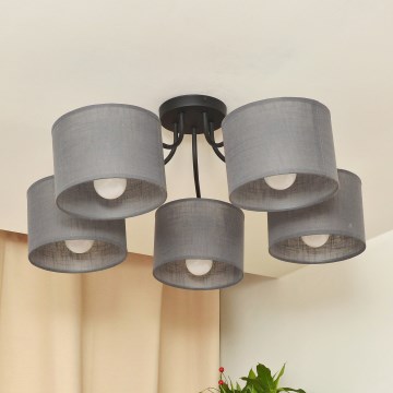 ALBA flush-mounted ceiling light 5xE27/15W/230V gray