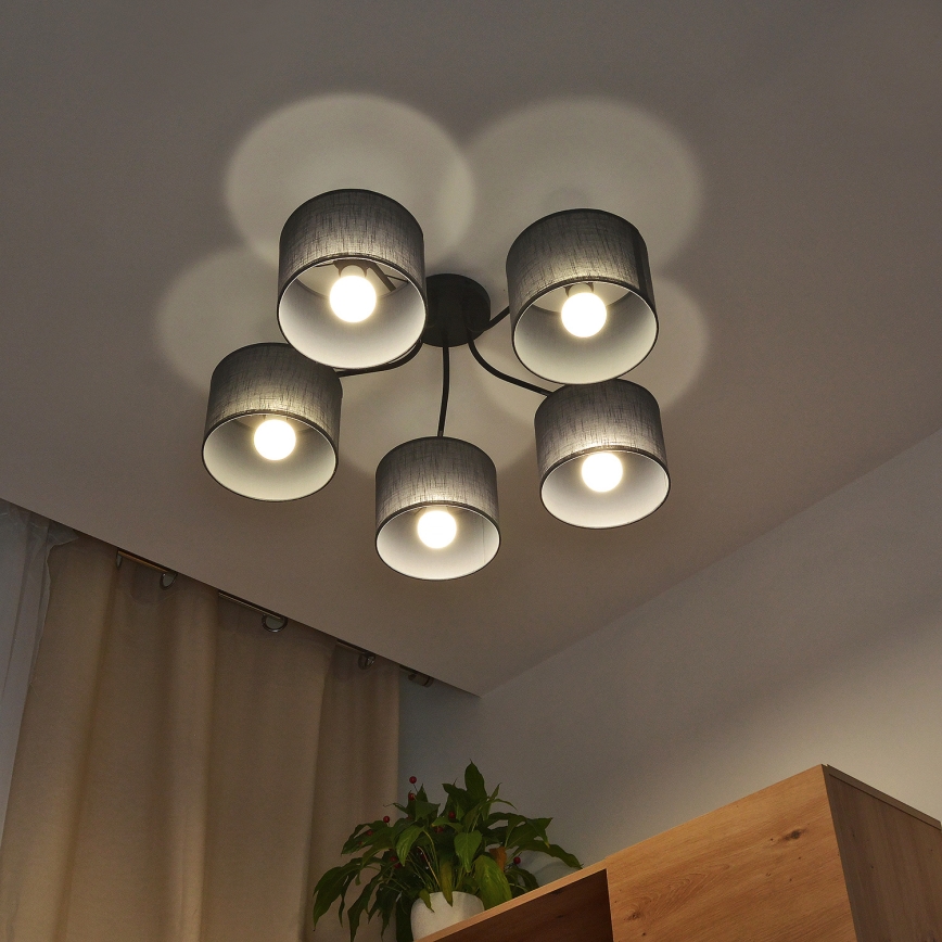 ALBA flush-mounted ceiling light 5xE27/15W/230V gray