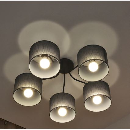 ALBA flush-mounted ceiling light 5xE27/15W/230V gray