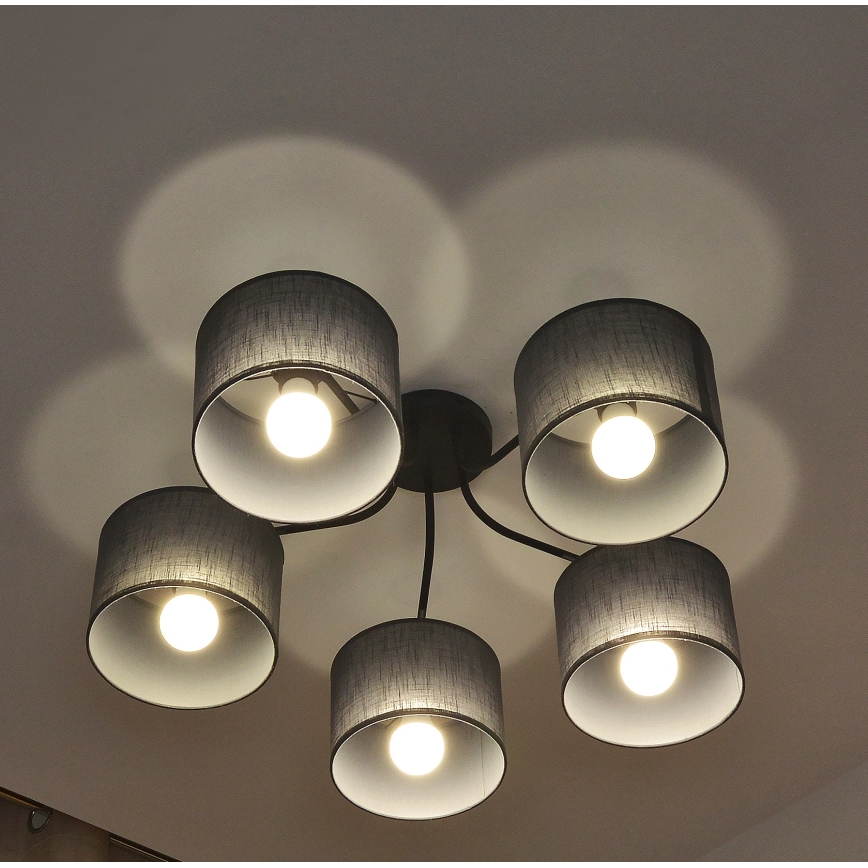 ALBA flush-mounted ceiling light 5xE27/15W/230V gray