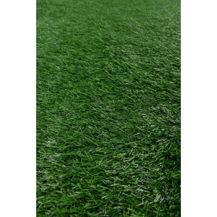 ALLGREEN Artificial Grass 100x200 cm 30 mm Green