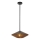 Alora Mood - Chandelier on a pole DAPHNE 1xE27/60W/230V d. 38,1 cm black