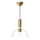 Alora Mood - Chandelier on a pole JUDE 1xE27/60W/230V d. 30,5 cm brass