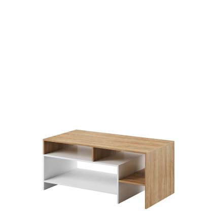 ALVA 120x53 cm Coffee Table, White/Grande Oak
