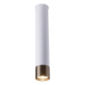 Amplex - 1x GU10 Spotlight, 10W, 230V, White/Gold