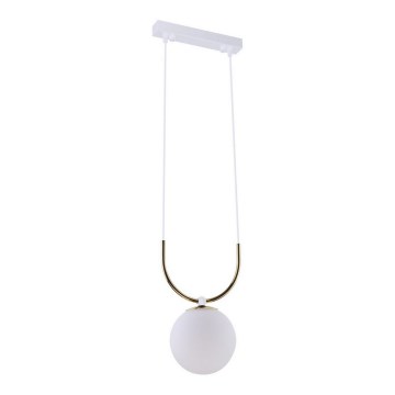 Amplex - Chandelier on a string 1xE14/15W/230V black