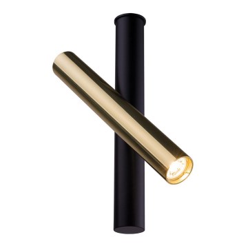 Amplex - Spotlight 1xGU10-MR11/15W/230V black/gold