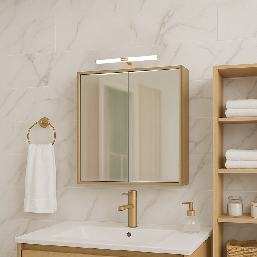 APA LED 2-in-1 Bathroom Mirror Light, 6W/230V, 40 cm, IP44, Gold