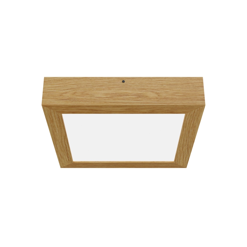 APLED - LED Ceiling light QUADRA LED/24W/230V oak