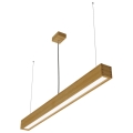 APLED - LED Chandelier on a string LOOK LED/36W/230V 4000K 120 cm oak