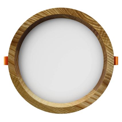 APLED - LED Recessed light RONDO WOODLINE LED/12W/230V 3000K d. 20 cm ash solid wood