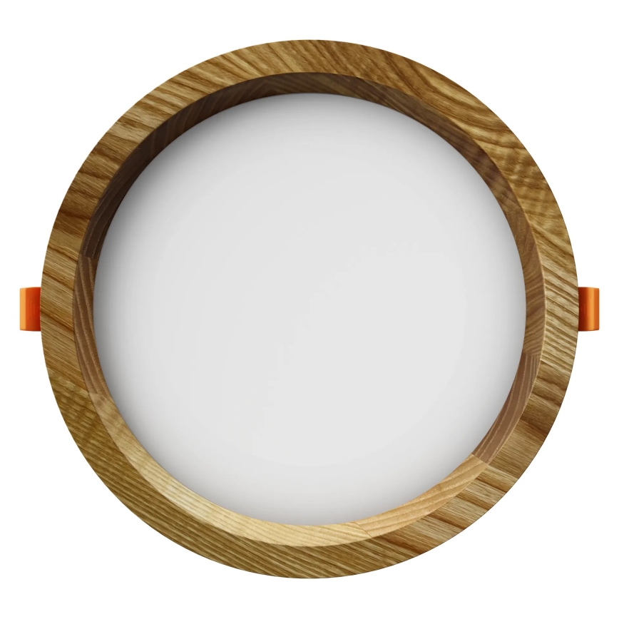 APLED - LED Recessed light RONDO WOODLINE LED/12W/230V 3000K d. 20 cm ash solid wood