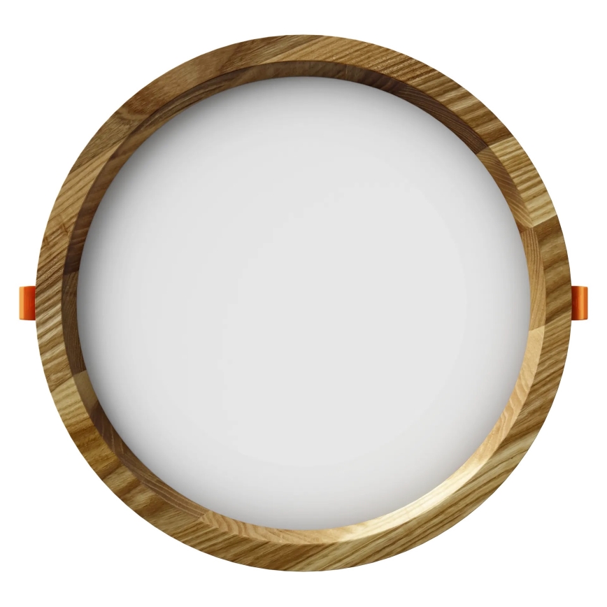 APLED - LED Recessed light RONDO WOODLINE LED/18W/230V 3000K d. 26 cm ash solid wood