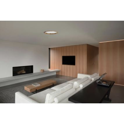 APLED - LED Recessed light RONDO WOODLINE LED/18W/230V 4000K d. 26 cm ash solid wood