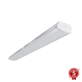 APLED - LED Surface-mounted light TROUT LED/72W/230V 4000K