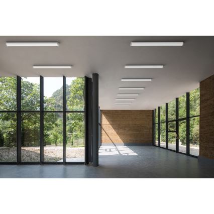 APLED - LED Surface-mounted light TROUT LED/72W/230V 4000K