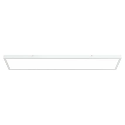 APLED - LED Surface-mounted panel LONG LED/40W/230V 4000K 120x30cm IP41 white