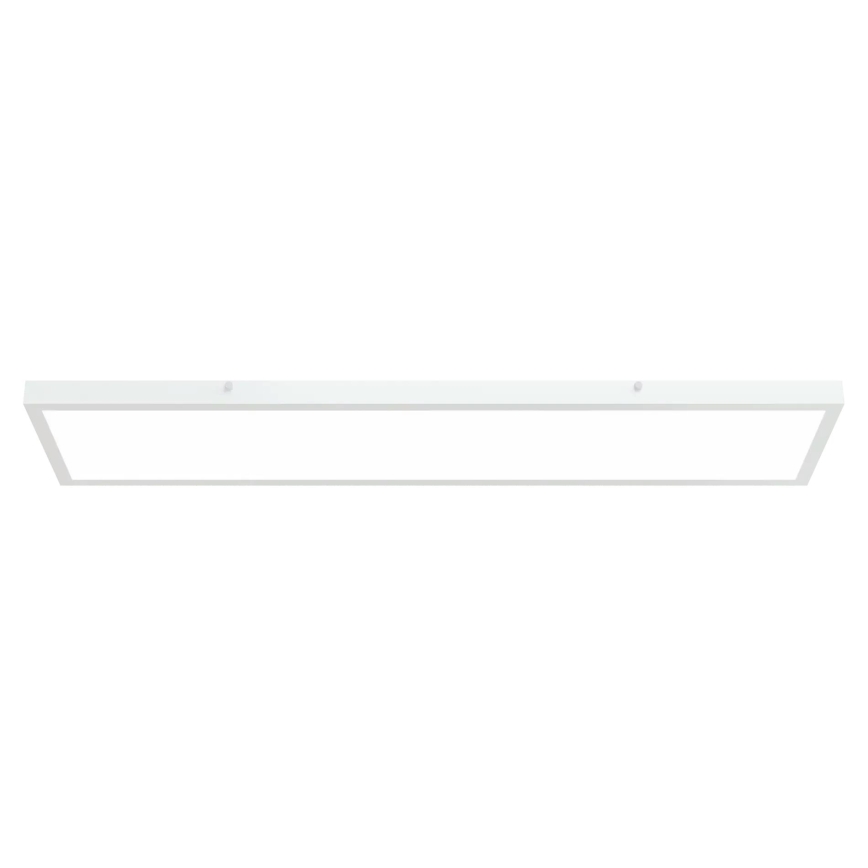 APLED - LED Surface-mounted panel LONG LED/40W/230V 4000K 120x30cm IP41 white
