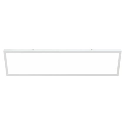APLED - LED Surface-mounted panel LONG LED/40W/230V 4000K 120x30cm IP41 white