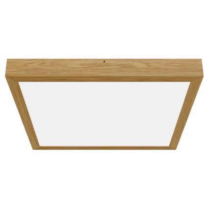 APLED - LED Surface-mounted panel QUADRA LED/40W/230V oak