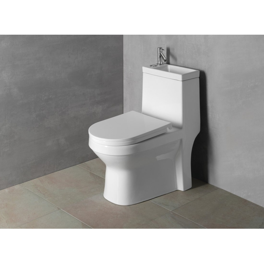 Aqualine - HYGIE combined toilet with integrated basin, ceramic/white