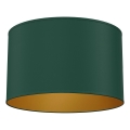 ARDEN Ceiling Light 1x E27/15W/230V Ø 40 cm green