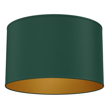 ARDEN Ceiling Light 1x E27/15W/230V Ø 40 cm green