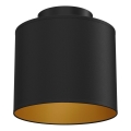 ARDEN Ceiling Light 1xE27/15W/230V, Ø 18 cm, Black