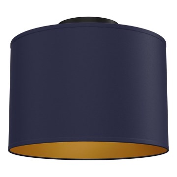 ARDEN Ceiling light 1xE27/15W/230V Ø25 cm, blue