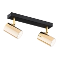 Argon 0889 - Spotlight LAGOS 2xGU10/5W/230V brass/black