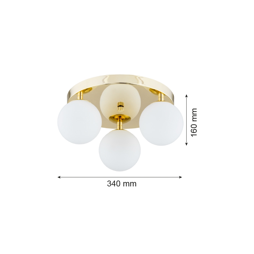 Argon 1413 - Bathroom ceiling light FLAVIO 3xE14/7W/230V IP44