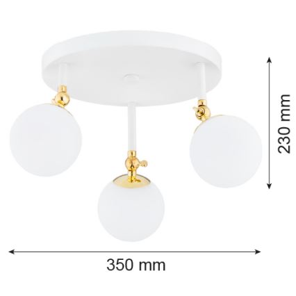 Argon 1434 - Bathroom surface-mounted chandelier LATINA 3xE14/7W/230V IP44 white/golden