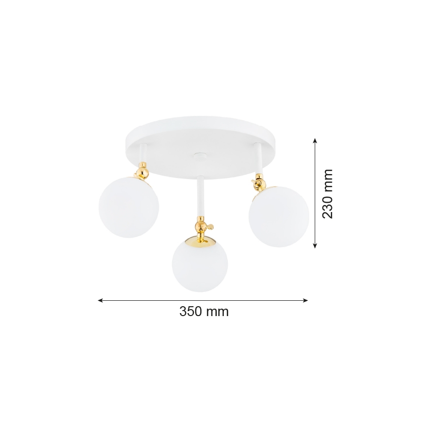 Argon 1434 - Bathroom surface-mounted chandelier LATINA 3xE14/7W/230V IP44 white/golden