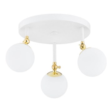 Argon 1434 - LATINA bathroom flush-mounted ceiling light 3xE14/7W/230V IP44 white/gold